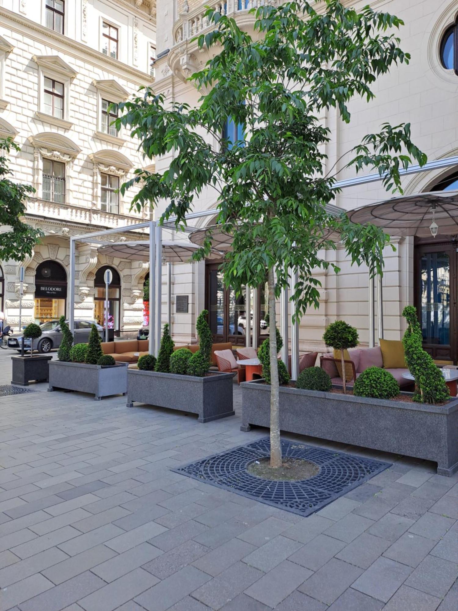 Cute Downtown Appartement Budapest